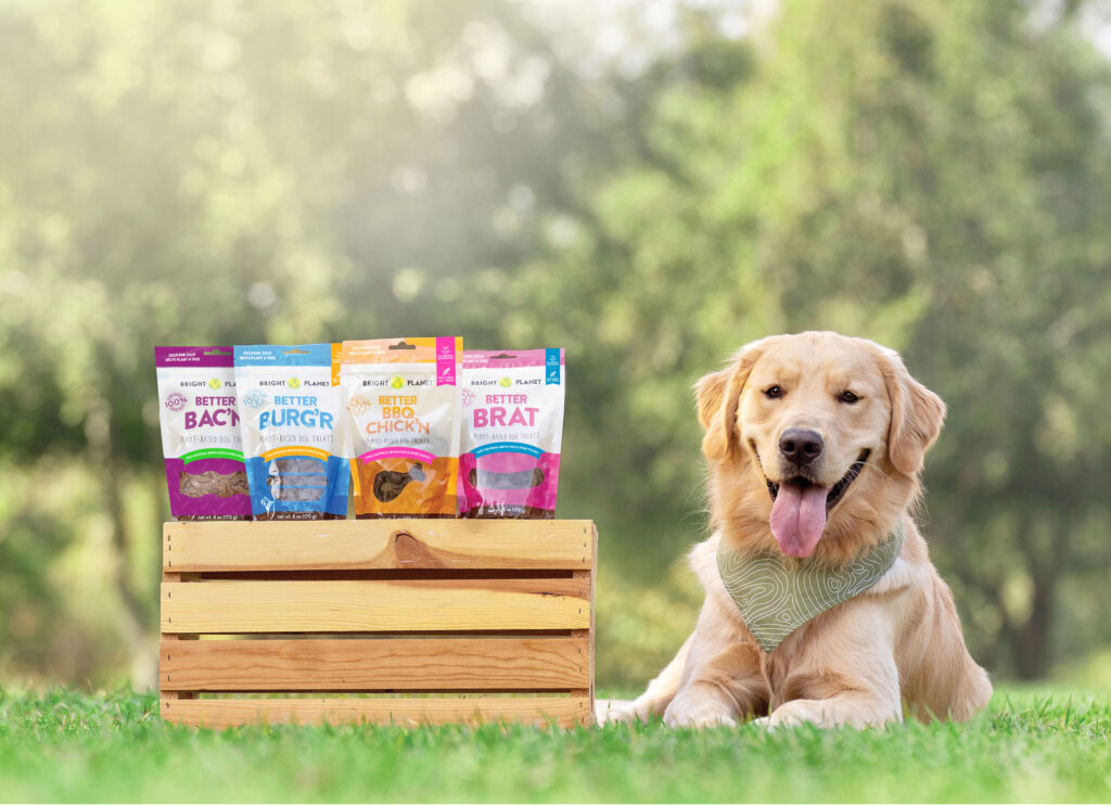 pet products & lifestyple